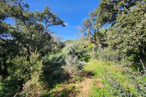 Helårsgrund i Sotogrande, Cadiz, Sotogrande - € 1.000.000 | Ref: MPA-0096 - foto 6