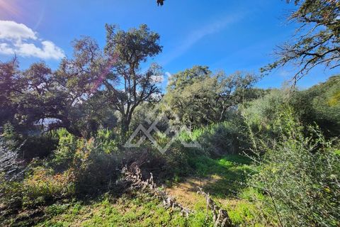 Helårsgrund i Sotogrande, Cadiz, Sotogrande - € 1.000.000 | Ref: MPA-0096 - foto 8