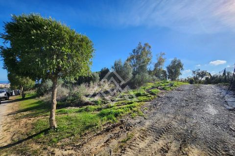 Helårsgrund i Sotogrande, Cadiz, Sotogrande - € 1.000.000 | Ref: MPA-0095 - foto 2