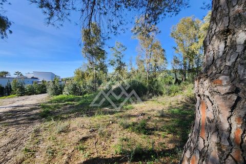 Helårsgrund i Sotogrande, Cadiz, Sotogrande - € 1.000.000 | Ref: MPA-0095 - foto 7