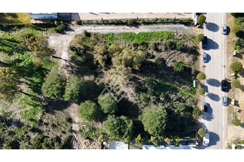 Helårsgrund i Sotogrande, Cadiz, Sotogrande - € 1.000.000 | Ref: MPA-0095 - foto 14