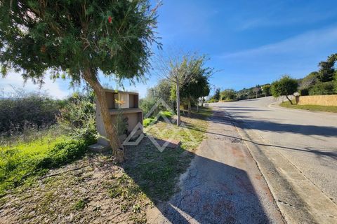 Helårsgrund i Sotogrande, Cadiz, Sotogrande - € 785.000 | Ref: MPA-0094 - foto 3