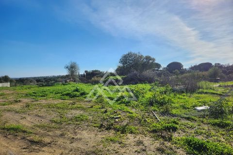 Helårsgrund i Sotogrande, Cadiz, Sotogrande - € 785.000 | Ref: MPA-0094 - foto 5