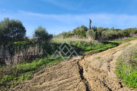 Helårsgrund i Sotogrande, Cadiz, Sotogrande - € 785.000 | Ref: MPA-0094 - foto 6
