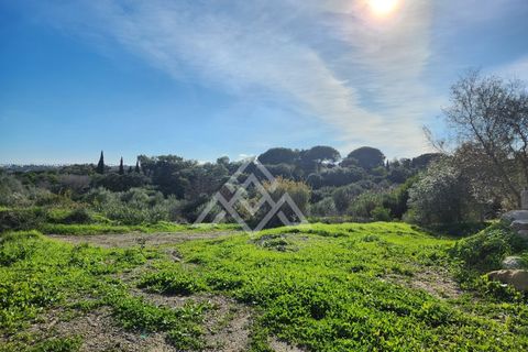 Helårsgrund i Sotogrande, Cadiz, Sotogrande - € 785.000 | Ref: MPA-0094 - foto 9