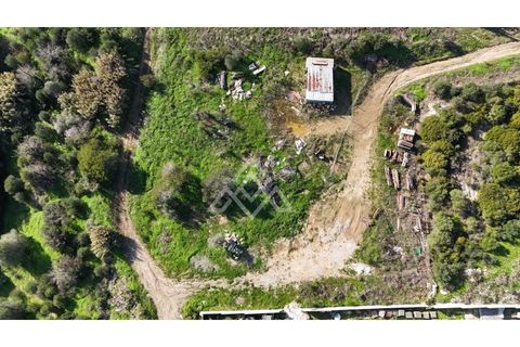 Helårsgrund i Sotogrande, Cadiz, Sotogrande - € 785.000 | Ref: MPA-0094 - foto 15