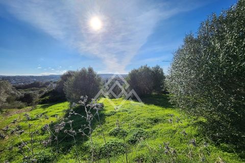 Terra a Sotogrande, Cadiz, Sotogrande - € 850.000 | Ref: MPA-0093 - foto 5
