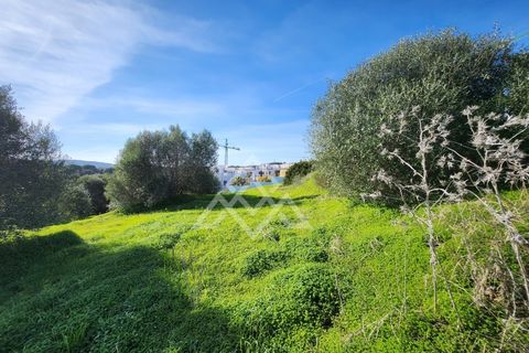 Terra a Sotogrande, Cadiz, Sotogrande - € 850.000 | Ref: MPA-0093 - foto 7