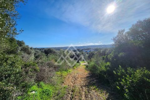 Terra a Sotogrande, Cadiz, Sotogrande - € 850.000 | Ref: MPA-0093 - foto 8