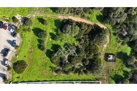 Terra a Sotogrande, Cadiz, Sotogrande - € 850.000 | Ref: MPA-0093 - foto 17