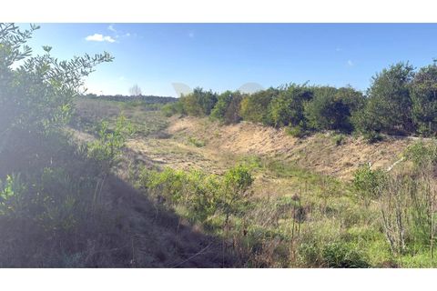 Helårsgrund i Darque, Viana do Castelo, Darque - € 40.000 | Ref: V387-52 - foto 3