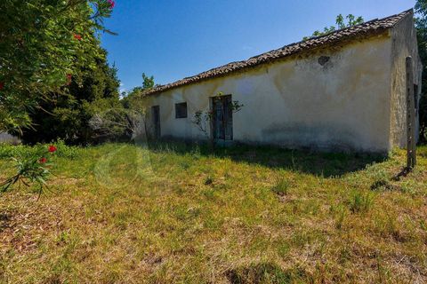 Landejendom i Pignataro Interamna, Frosinone, Pignataro Interamna - € 210.000 | Ref: AC99-149-1044 - foto 36