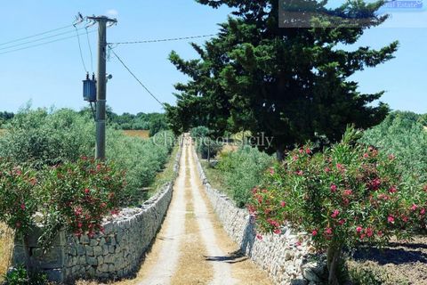 Landejendom i Modica, Ragusa, Modica - € 1.200.000 | Ref: L 1335 - foto 16