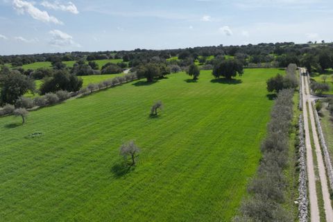 Landejendom i Modica, Ragusa, Modica - € 1.200.000 | Ref: L 1335 - foto 17