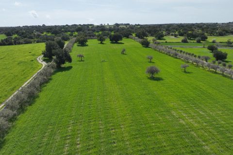 Landejendom i Modica, Ragusa, Modica - € 1.200.000 | Ref: L 1335 - foto 18