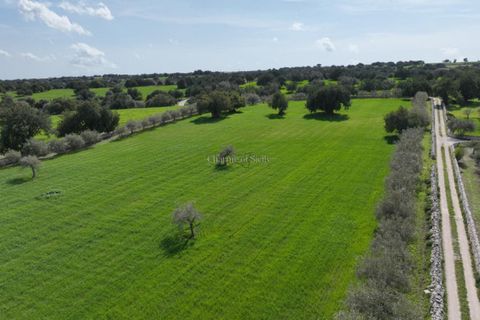 Landejendom i Modica, Ragusa, Modica - € 1.200.000 | Ref: L 1335 - foto 24