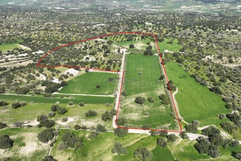 Landejendom i Modica, Ragusa, Modica - € 1.200.000 | Ref: L 1335 - foto 38