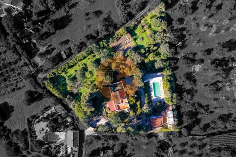 Villa i Olhao, Faro, Olhao - € 1.100.000 | Ref: SU-CS-MI-94053 - foto 2