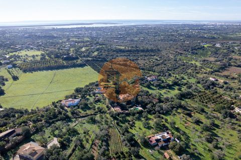 Villa i Olhao, Faro, Olhao - € 1.100.000 | Ref: SU-CS-MI-94053 - foto 6