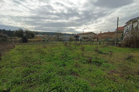 Helårsgrund i Santar e Moreira, Viseu, Santar e Moreira - € 35.000 | Ref: FFIC 6177 - foto 5