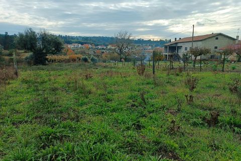 Helårsgrund i Santar e Moreira, Viseu, Santar e Moreira - € 35.000 | Ref: FFIC 6177 - foto 6