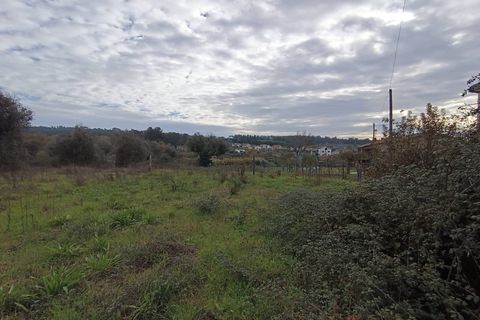 Helårsgrund i Santar e Moreira, Viseu, Santar e Moreira - € 35.000 | Ref: FFIC 6177 - foto 8