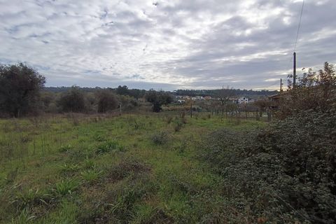 Helårsgrund i Santar e Moreira, Viseu, Santar e Moreira - € 35.000 | Ref: FFIC 6177 - foto 10