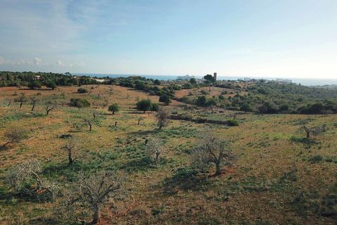 Landejendom i Cala Murada, Mallorca, Cala Murada - € 1.295.000 | Ref: V582 - foto 7