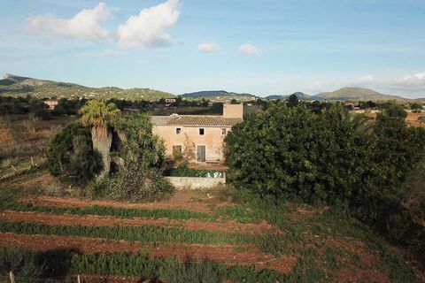 Landejendom i Cala Murada, Mallorca, Cala Murada - € 1.295.000 | Ref: V582 - foto 8