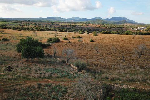 Landejendom i Cala Murada, Mallorca, Cala Murada - € 1.295.000 | Ref: V582 - foto 10