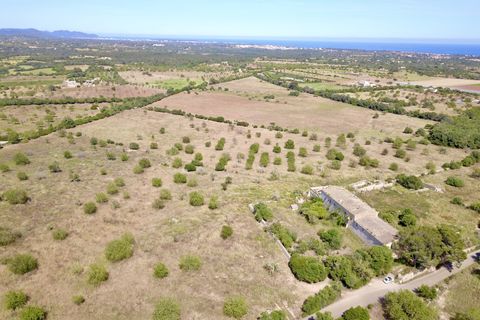 Landejendom i Manacor, Mallorca, Manacor - € 3.200.000 | Ref: V642 - foto 7