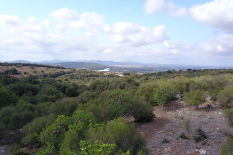 Terra a Manacor, Mallorca, Manacor - € 395.000 | Ref: V655 - foto 8
