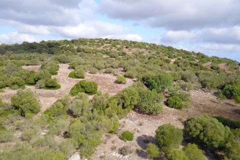 Terra a Manacor, Mallorca, Manacor - € 395.000 | Ref: V655 - foto 10