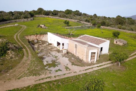 Landejendom i Manacor, Mallorca, Manacor - € 1.695.000 | Ref: V672 - foto 23