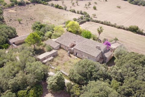 Landejendom i Manacor, Mallorca, Manacor - € 3.800.000 | Ref: V694 - foto 6