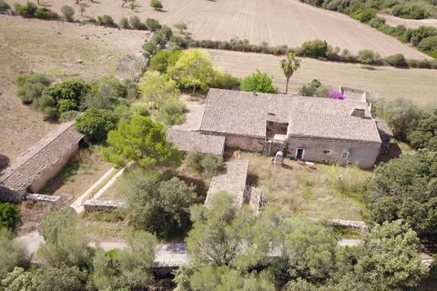 Landejendom i Manacor, Mallorca, Manacor - € 3.800.000 | Ref: V694 - foto 7