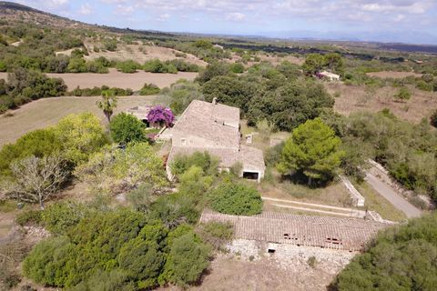 Landejendom i Manacor, Mallorca, Manacor - € 3.800.000 | Ref: V694 - foto 8