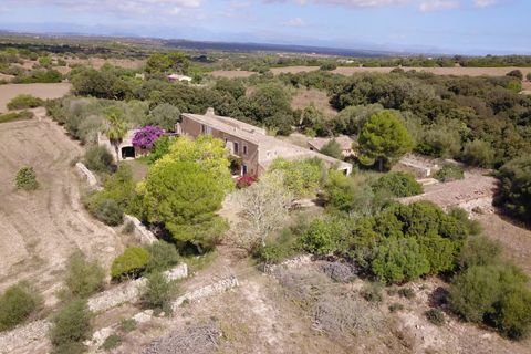 Landejendom i Manacor, Mallorca, Manacor - € 3.800.000 | Ref: V694 - foto 9