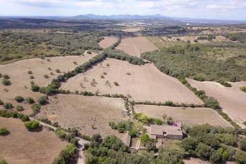 Landejendom i Manacor, Mallorca, Manacor - € 3.800.000 | Ref: V694 - foto 10