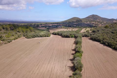 Landejendom i Manacor, Mallorca, Manacor - € 3.800.000 | Ref: V694 - foto 11