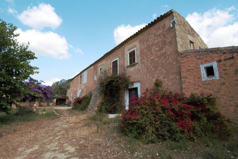Landejendom i Manacor, Mallorca, Manacor - € 3.800.000 | Ref: V694 - foto 12