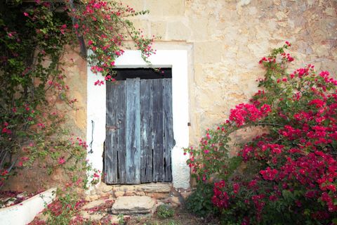 Landejendom i Manacor, Mallorca, Manacor - € 3.800.000 | Ref: V694 - foto 14