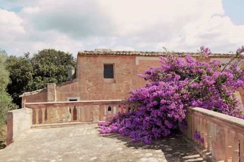 Landejendom i Manacor, Mallorca, Manacor - € 3.800.000 | Ref: V694 - foto 16