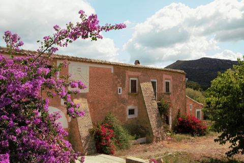 Landejendom i Manacor, Mallorca, Manacor - € 3.800.000 | Ref: V694 - foto 17