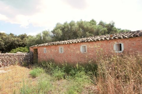 Landejendom i Manacor, Mallorca, Manacor - € 3.800.000 | Ref: V694 - foto 20