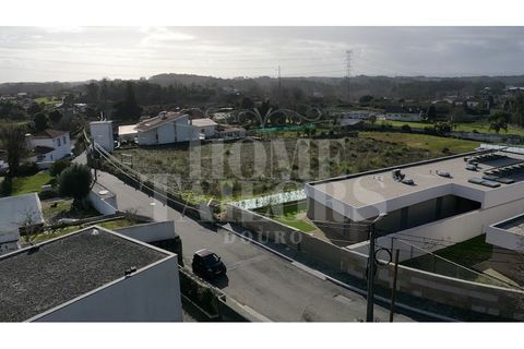 Terra a Grijo, Porto, Grijo - € 280.000 | Ref: HT_7131 - foto 18