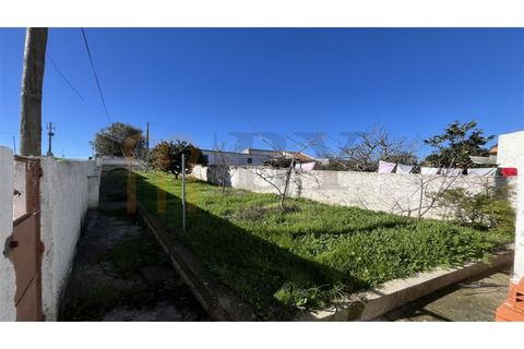 Rækkehus i Castro Verde, Beja, Castro Verde - € 135.000 | Ref: BYS-1117 - foto 9
