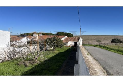 Rækkehus i Castro Verde, Beja, Castro Verde - € 135.000 | Ref: BYS-1117 - foto 11
