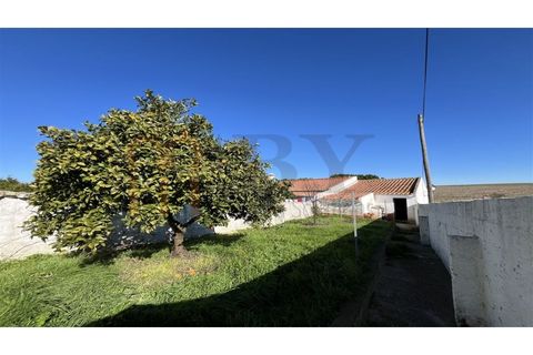 Rækkehus i Castro Verde, Beja, Castro Verde - € 135.000 | Ref: BYS-1117 - foto 12