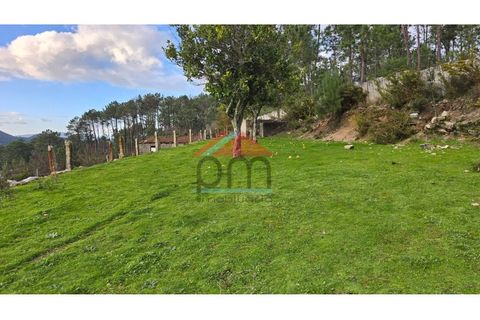 Villa i Boivao, Viana do Castelo, Boivao - € 250.000 | Ref: M590 - foto 14